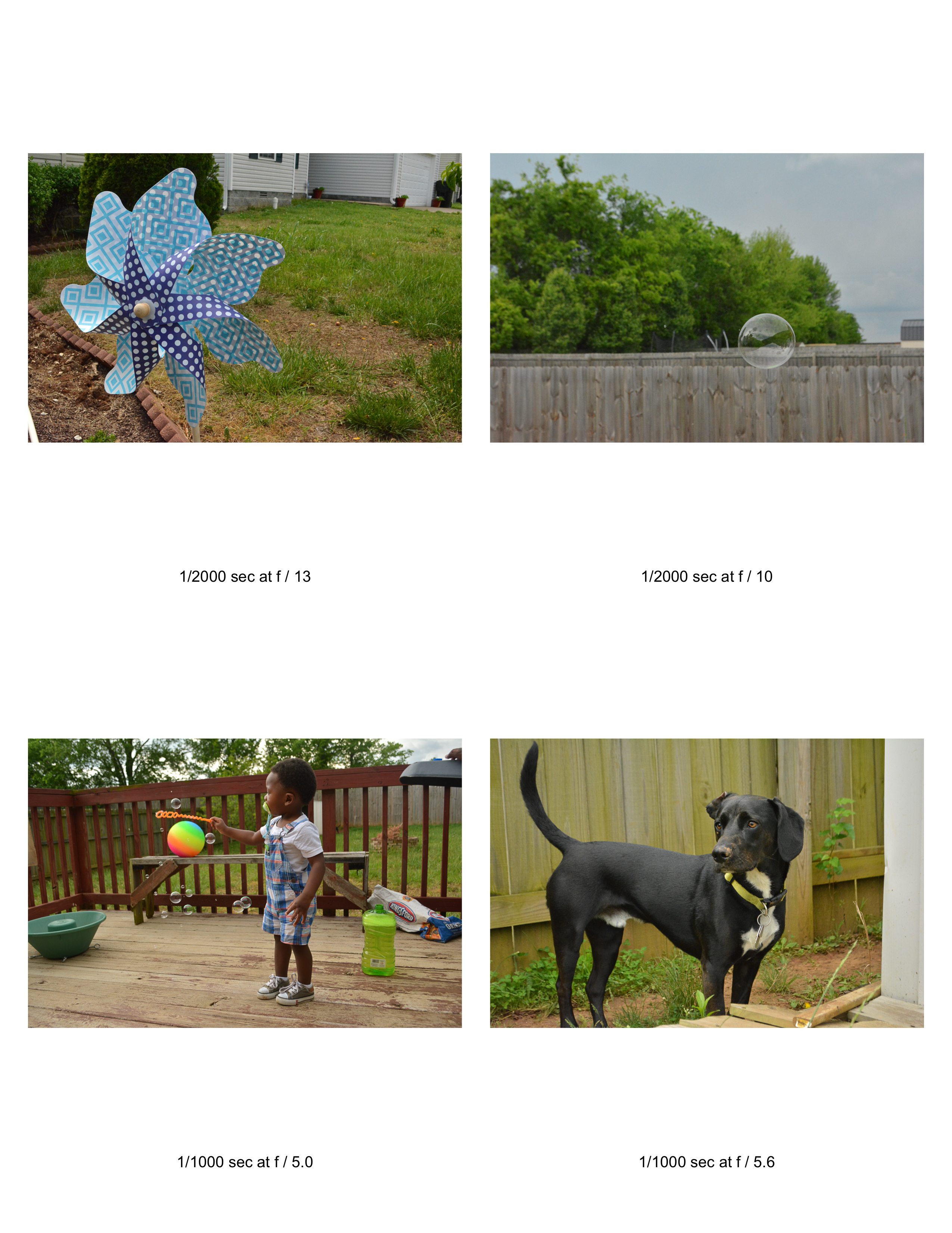 Thumbnail Image 1